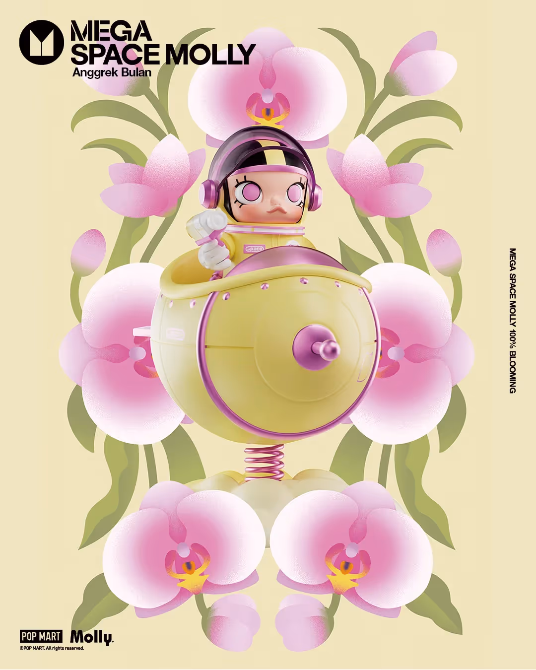 Anggrek Bulan