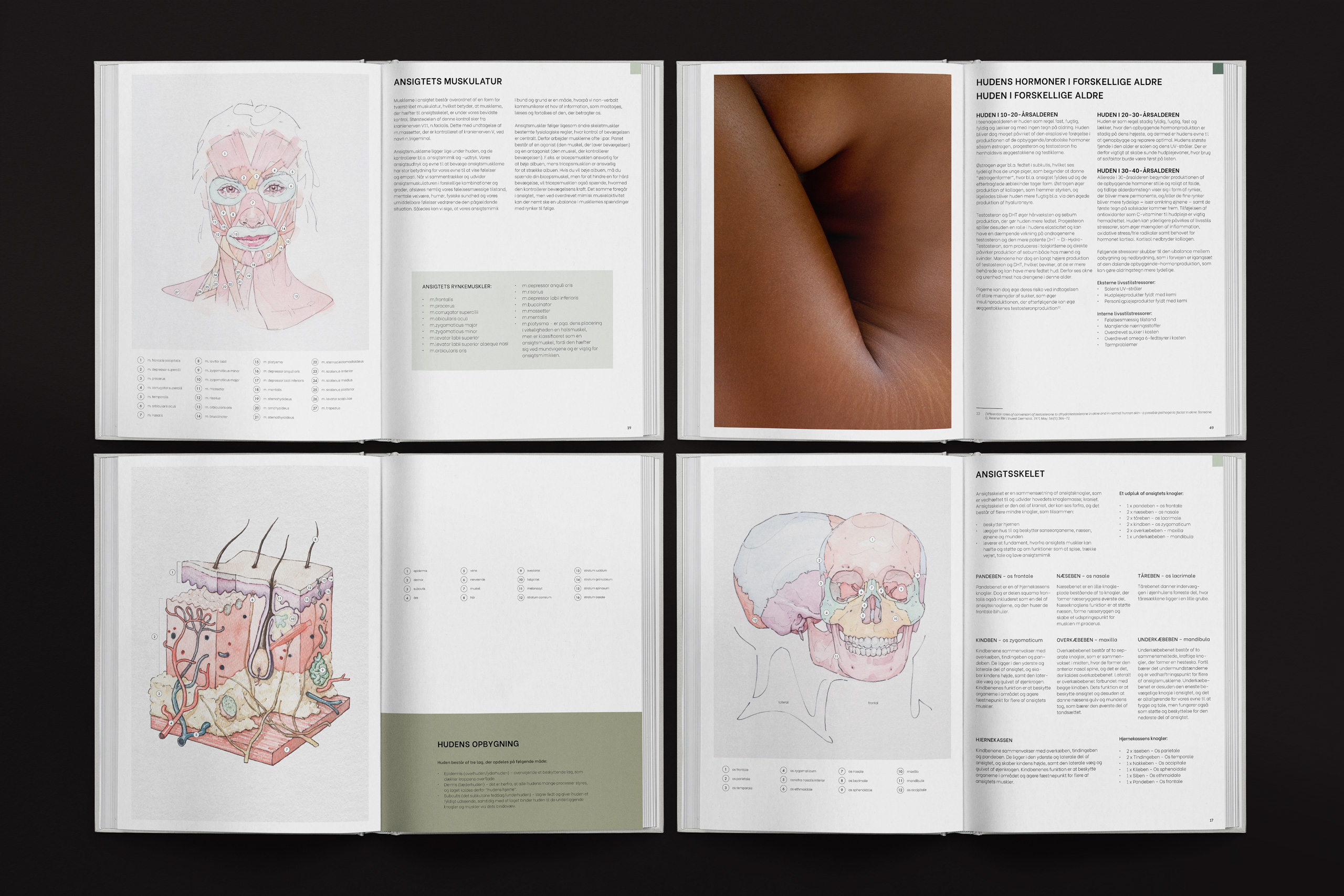 Six-page interior spread from a skincare and anatomy educational book, featuring clinical illustrations and dermatological diagrams. The pages include detailed line drawings of facial musculature, skin cross-section layers, and cranial bone structure, all annotated in Danish. Text sections discuss topics such as “Ansigtets muskulatur” (Facial muscles), “Hudens hormoner i forskellige aldre” (Skin hormones at different ages), “Hudens opbygning” (Skin structure), and “Ansigtsskelet” (Facial skeleton). One photo shows a close-up of human skin texture.