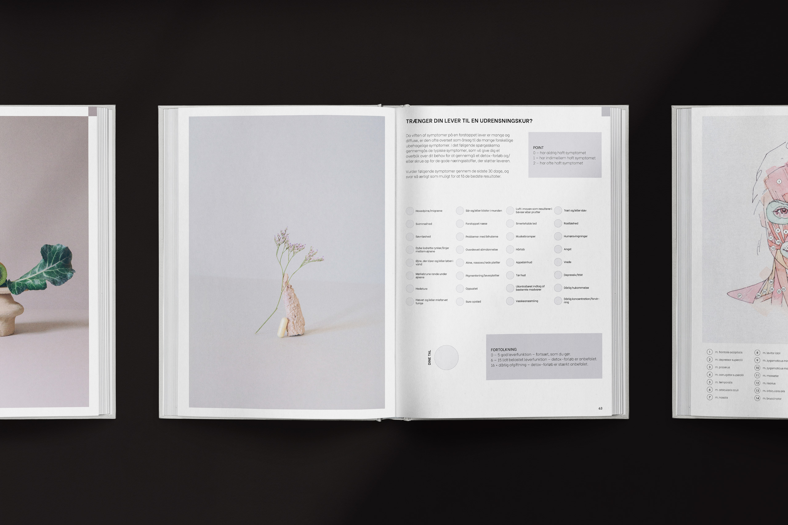 Three-page interior spread from a skincare and wellness book featuring clean editorial design. The left page shows a minimal still life with broccoli, kiwi, and a ceramic form. The center page contains a symptom checklist in Danish titled “Trænger din lever til en udrensningskur?” (Does your liver need a detox?), with a stylized rock and flower photograph. The right page shows an anatomical facial diagram with labeled muscle groups in soft pink tones.