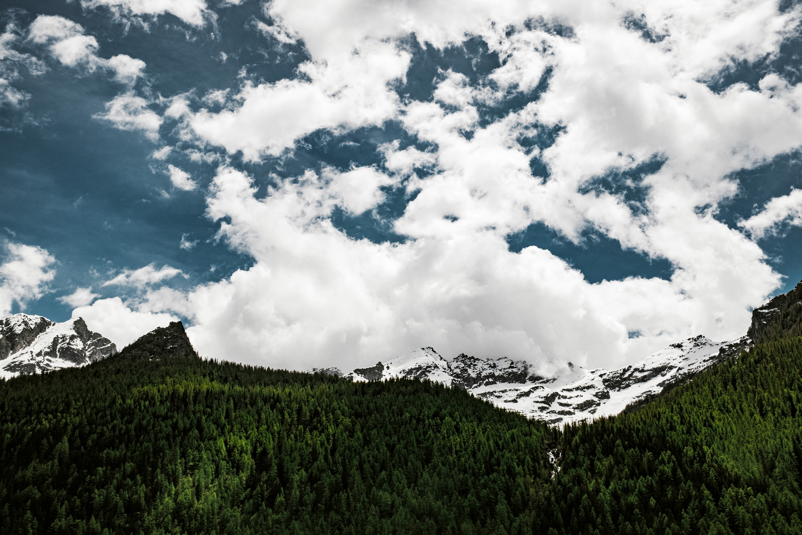 Breathtaking alpine landscape showcasing snow-capped mountain peaks beneath a dramatic sky filled with billowing white clouds. A dense forest of lush green pine trees stretches across the midground, rising toward the rugged, jagged slopes. The scene captures the contrast between the vivid forest, snowy summits, and textured cloudscape.
