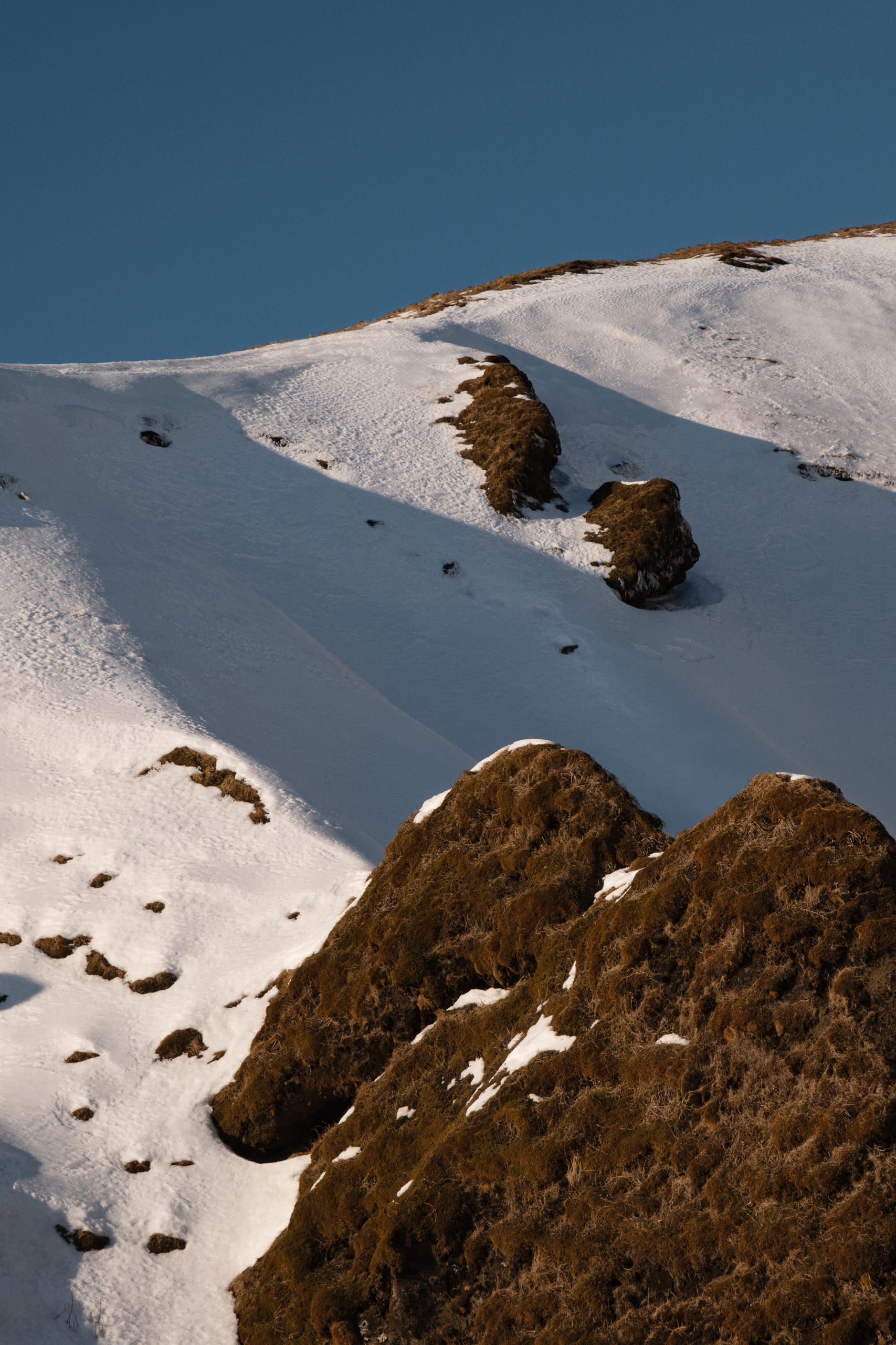 Close-up image of a snow-covered mountainside with patches of exposed rocky terrain and brown alpine vegetation, captured under warm golden-hour light. The smooth snow forms gentle curves and contrasts with the rugged, grassy outcrops, set against a clear blue sky.