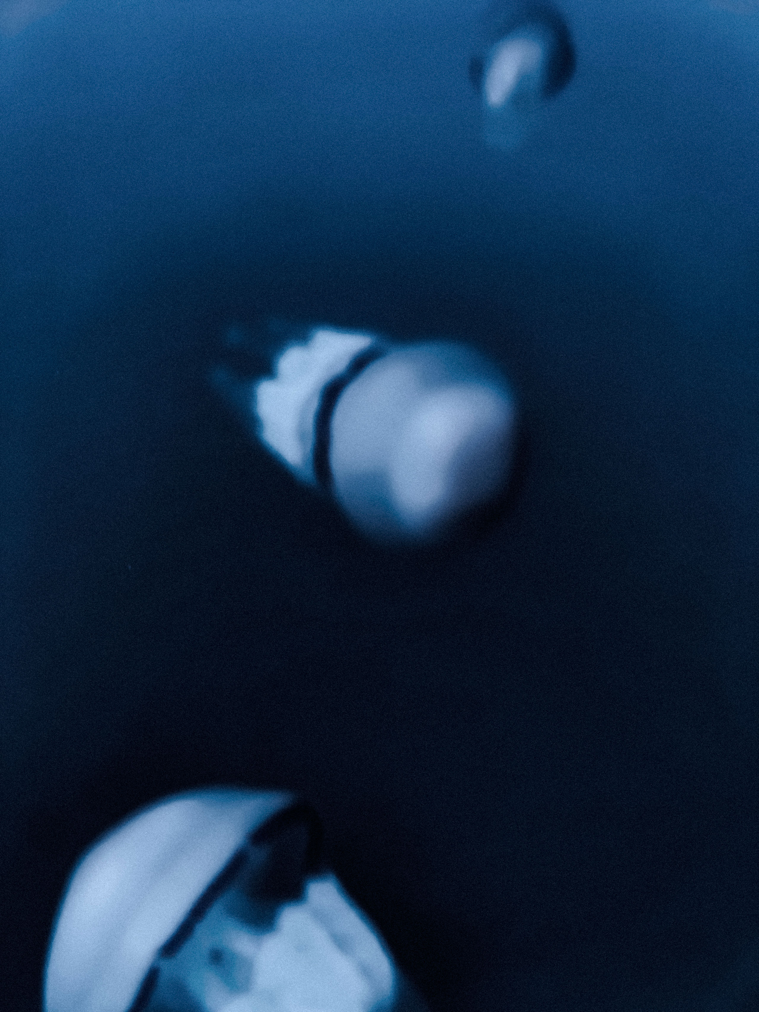 Underwater image showing a group of jellyfish swimming through dark blue water, captured in a soft-focus, dreamlike style. Three jellyfish are visible, with the largest in the foreground displaying a dome-shaped bell and trailing, frilled oral arms. A second jellyfish appears in the center, slightly blurred, and a third is faintly visible in the upper right corner. The image conveys motion and depth with an ethereal, tranquil ambiance.