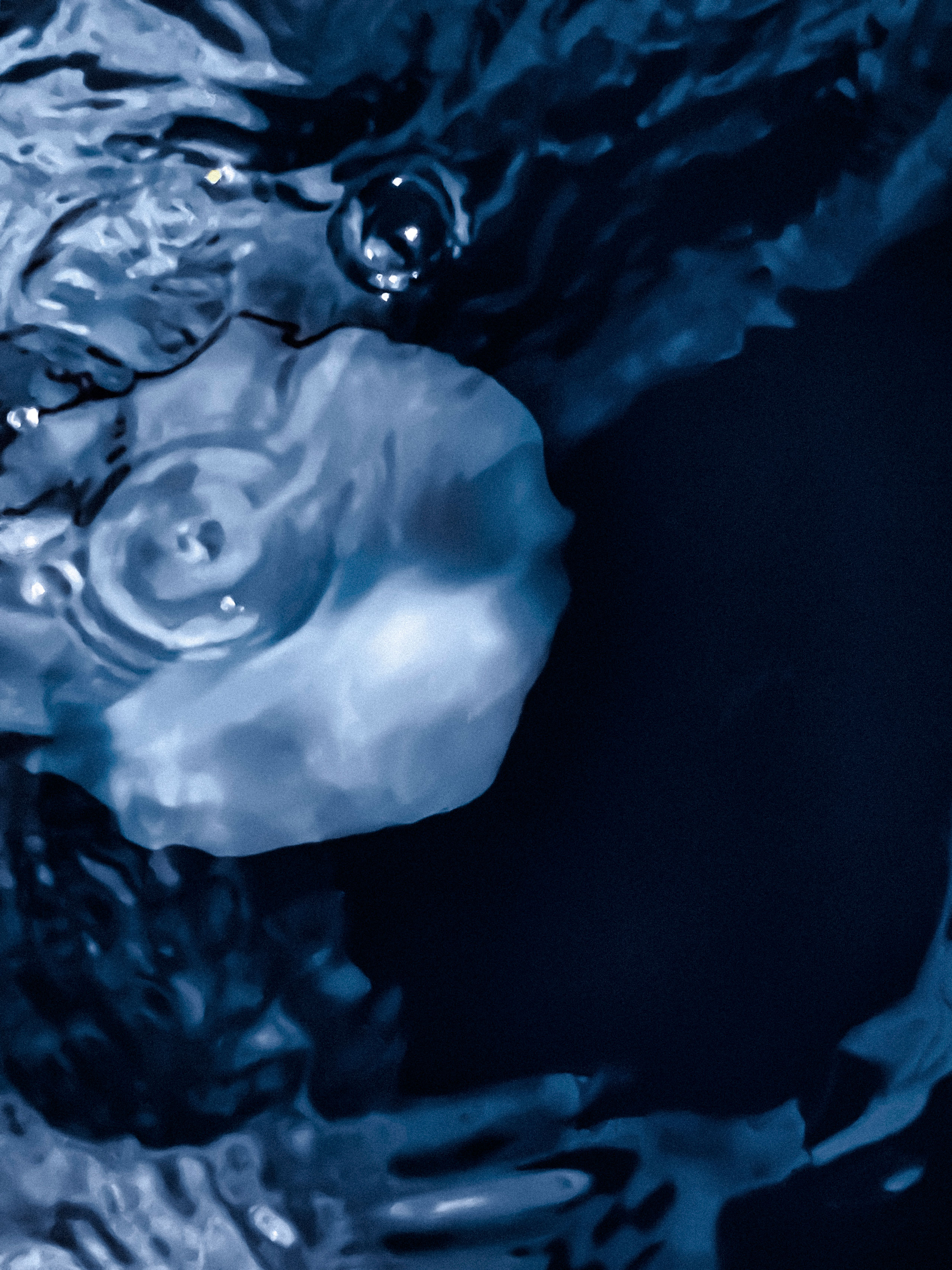 Close-up abstract image of a jellyfish near the ocean surface, surrounded by dynamic ripples and reflections in deep blue water. The jellyfish’s translucent bell is partially submerged and distorted by the shifting water, creating a fluid, almost painterly effect. Light highlights the jellyfish’s contours and the surrounding textures, emphasizing movement and contrast.