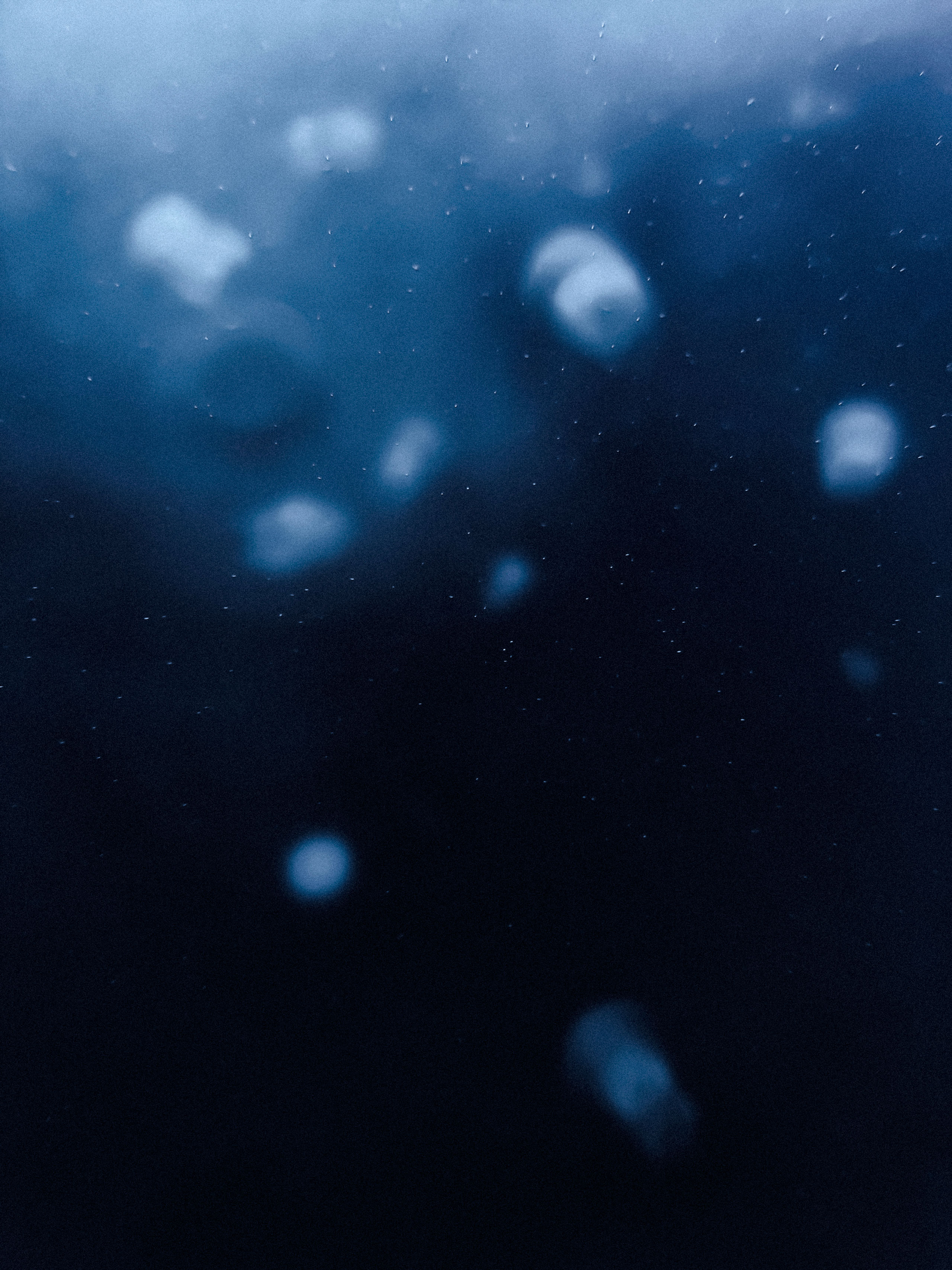 Underwater image capturing a group of translucent jellyfish drifting in a dark, murky blue ocean. The jellyfish appear softly blurred and scattered throughout the frame, creating a dreamy, abstract effect. Tiny air bubbles or particles are suspended in the water, enhancing the sense of depth and movement. The lighting is diffused and moody, giving the scene an ethereal and tranquil ambiance.