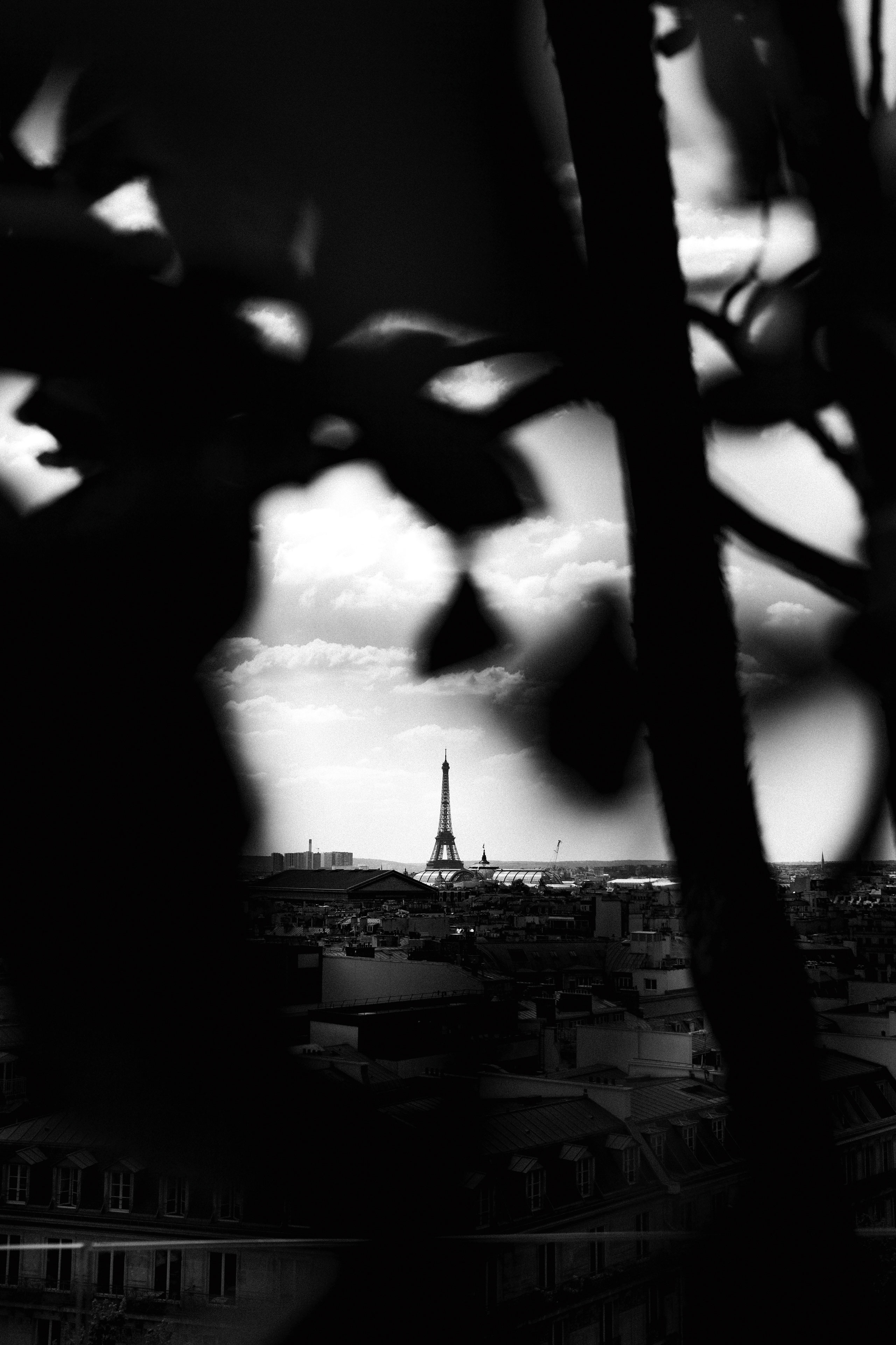 Black and white photograph of the Eiffel Tower framed by silhouetted tree branches and leaves, creating a natural vignette effect. The iconic Parisian landmark stands tall in the distance, surrounded by the city’s classic rooftop skyline under a cloudy sky. The composition evokes a sense of discovery and hidden perspective.