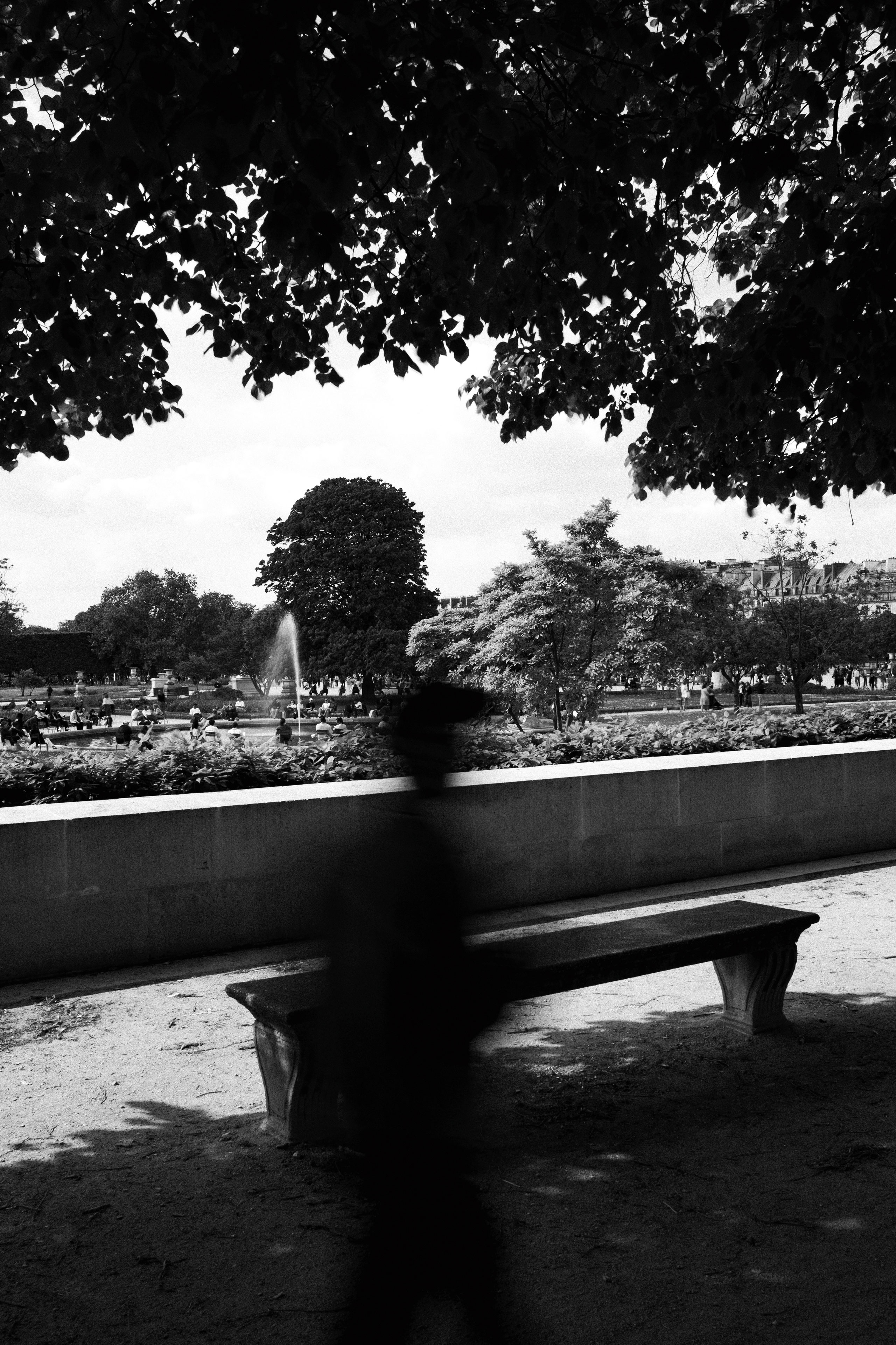 Black and white photo of a person in motion blur walking past an empty stone bench in a tree-shaded area of a public garden. In the background, a central fountain jets water upward amidst meticulously landscaped trees and hedges. A crowd of people is gathered around the fountain in what appears to be the Jardin des Tuileries in Paris, with historic city architecture faintly visible beyond the treetops.