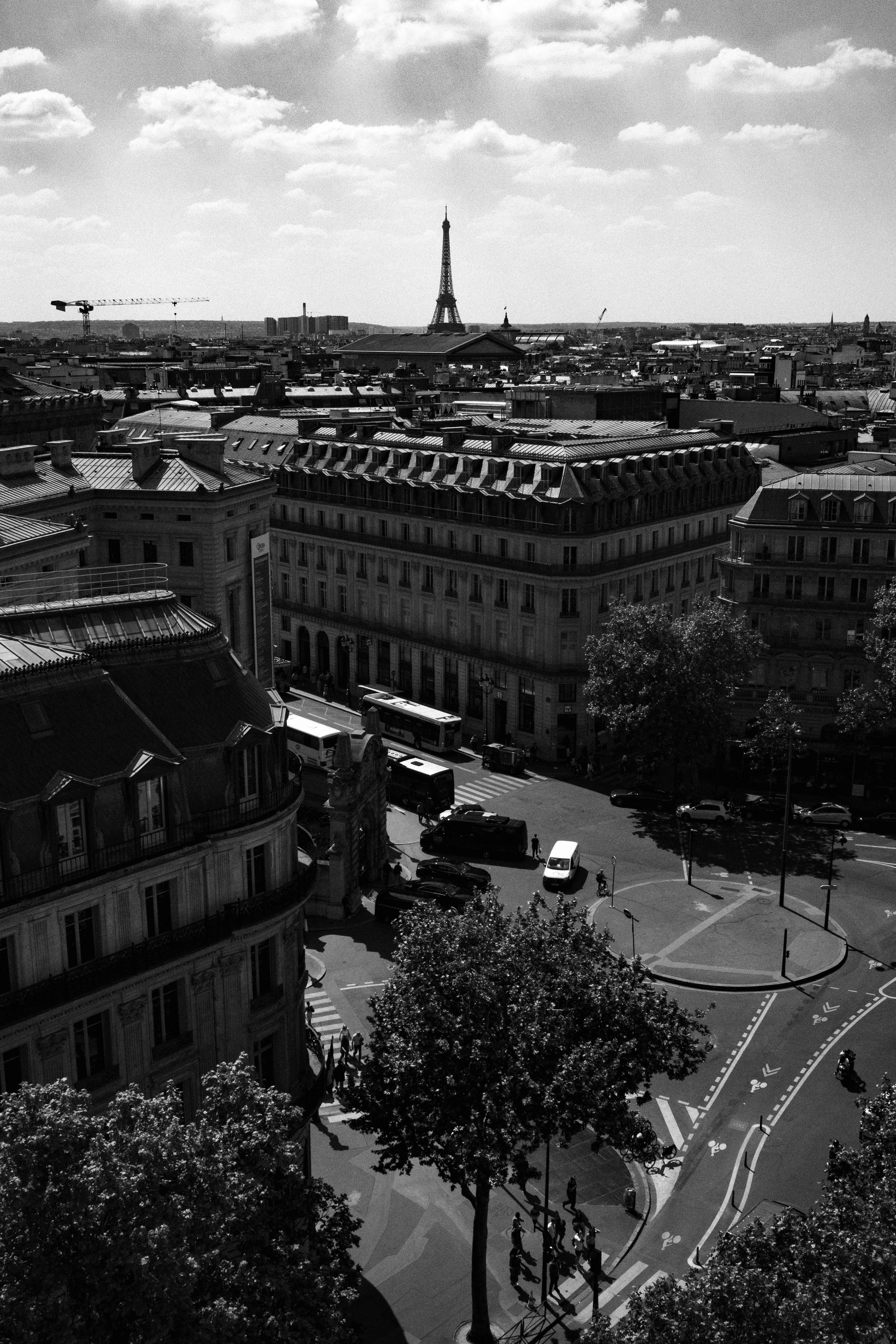Black and white aerial photo of central Paris, prominently featuring the Eiffel Tower on the horizon and a bustling Haussmann-style cityscape in the foreground. Streets filled with buses, cars, pedestrians, and bike lanes intersect beneath the vantage point, framed by leafy trees casting long shadows. The image captures classic Parisian architecture, urban motion, and the iconic skyline.