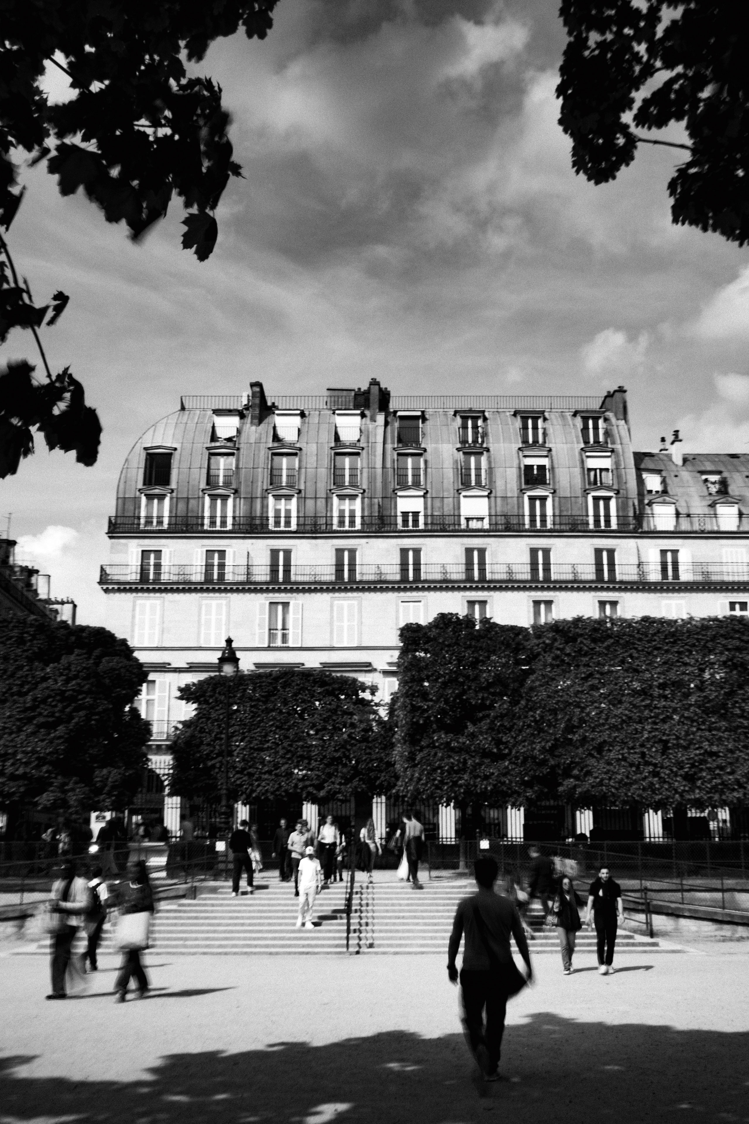 Black and white photo of a Parisian city scene showing people walking up and down steps framed by trimmed trees in a park, with a classic Haussmann-style building in the background. The building features a curved mansard roof with dormer windows and wrought iron balconies, under a dynamic, partly cloudy sky. Tree shadows and blurred pedestrians in the foreground add depth and motion.
