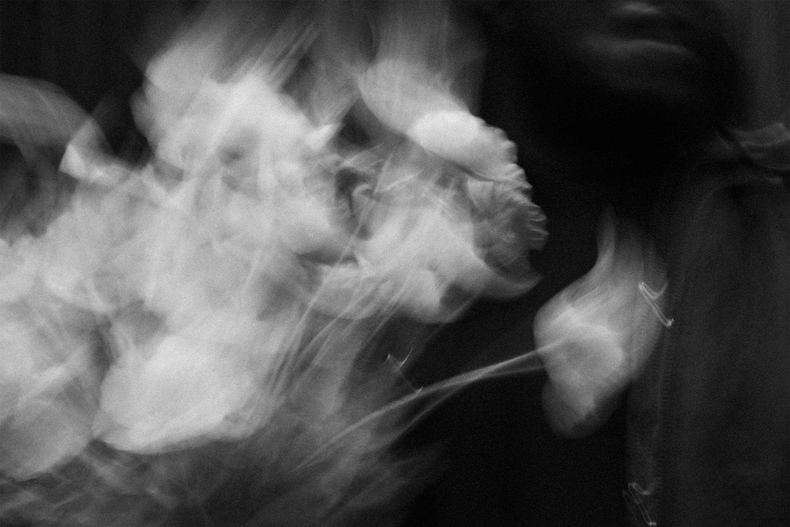 Abstract black and white artwork for BUKURU's single Elefanter I Rummet, featuring motion blur and white flowers.