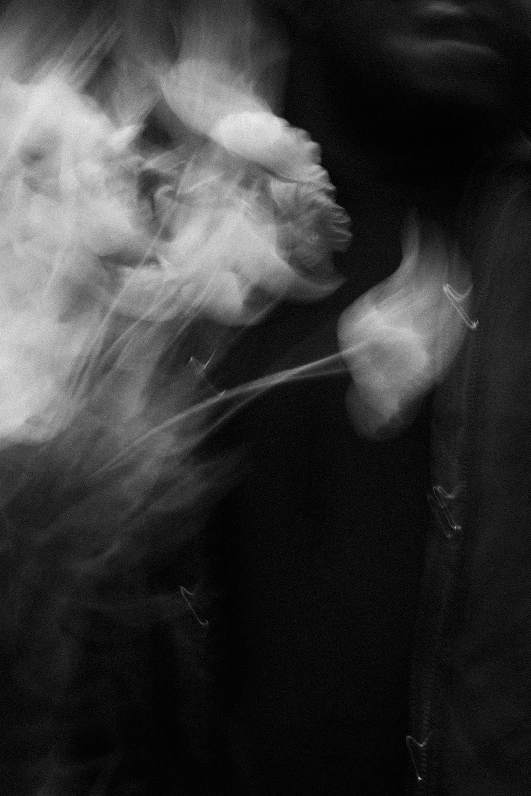 Abstract black and white artwork created for BUKURU's single Elefanter I Rummet, featuring a blurred portrait with white flowers.