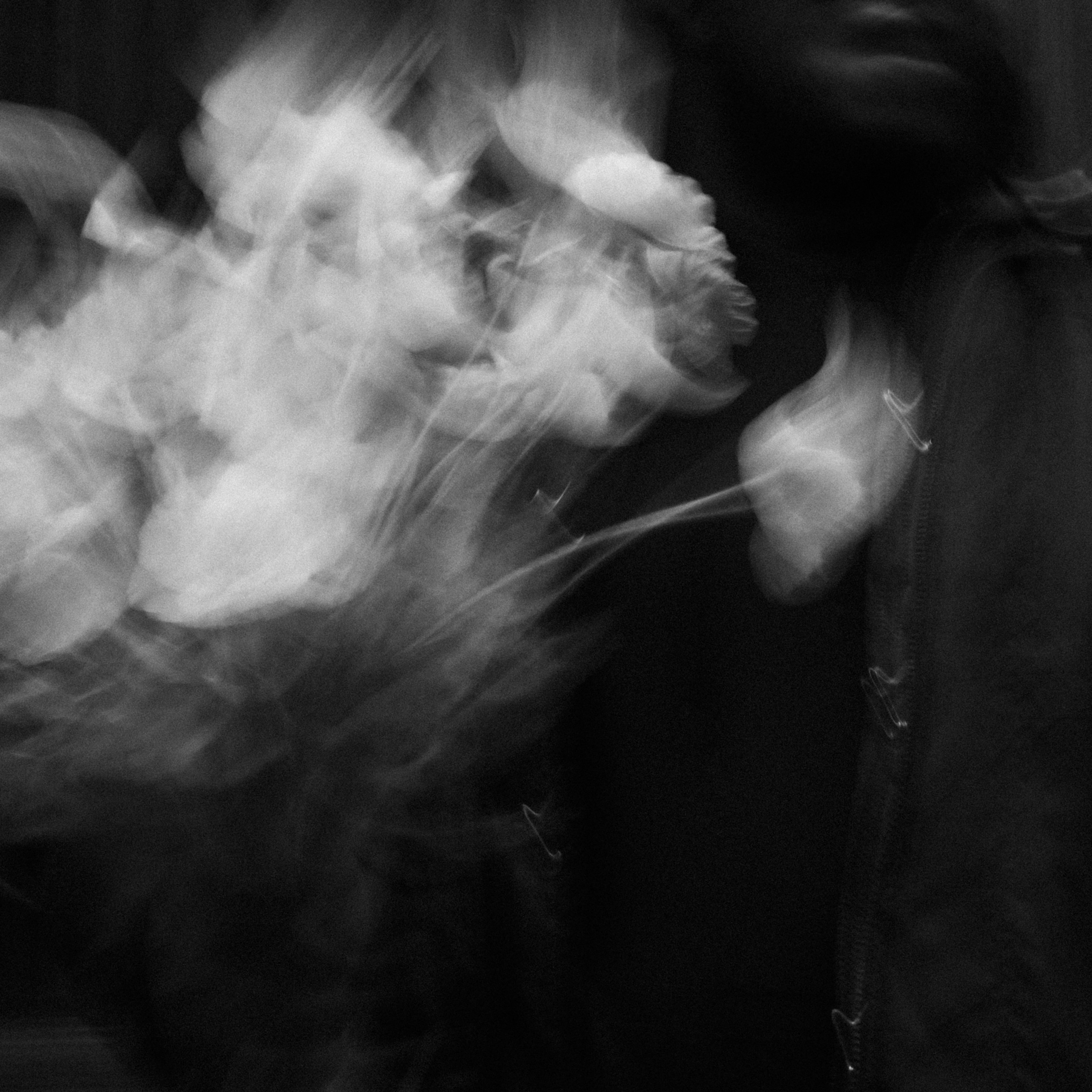 Black and white artwork created for BUKURU's single Elefanter I Rummet, featuring an abstract long-exposure portrait with blurred white flowers.
