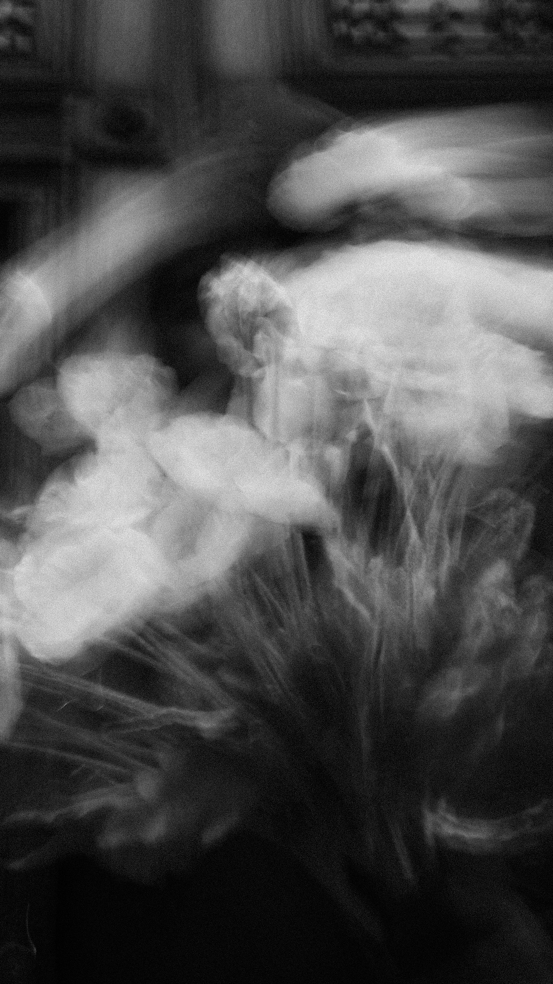 Minimal black-and-white detail featuring soft light trails and blurred floral forms.