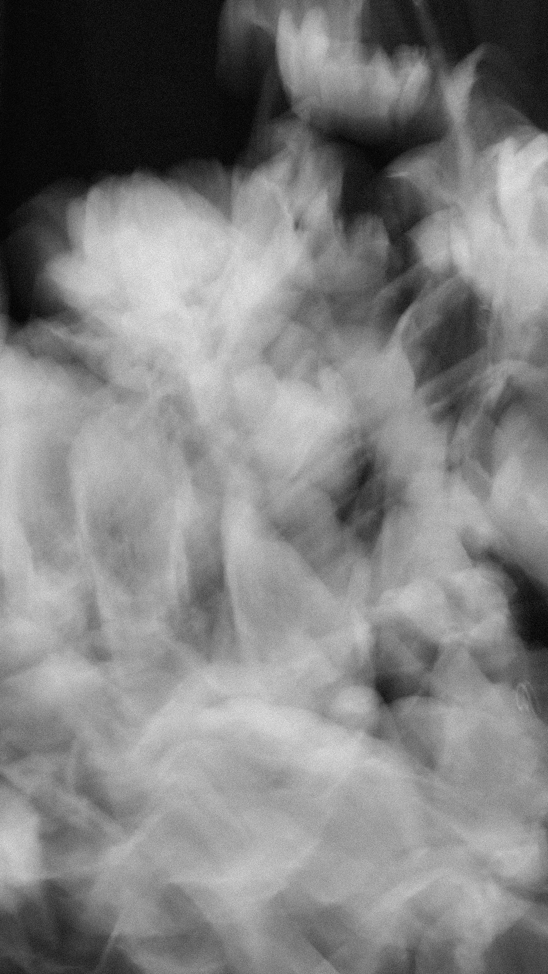 Dreamlike black-and-white close-up of white flowers with layered motion blur.