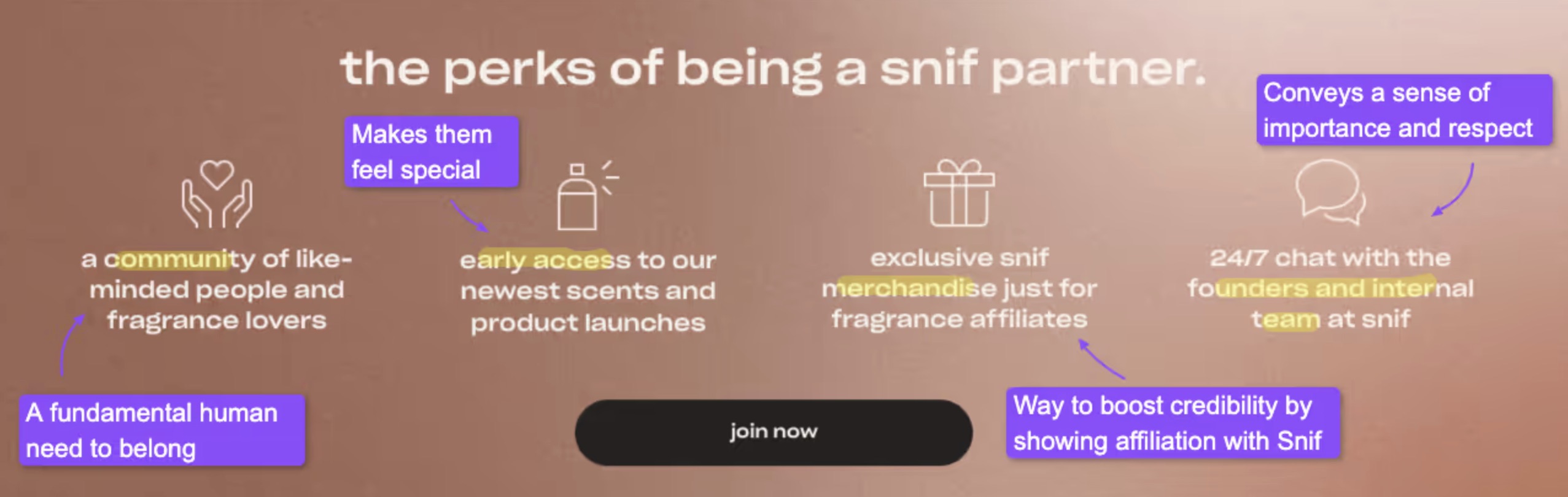 Snif brand affiliate marketing page for inspiration