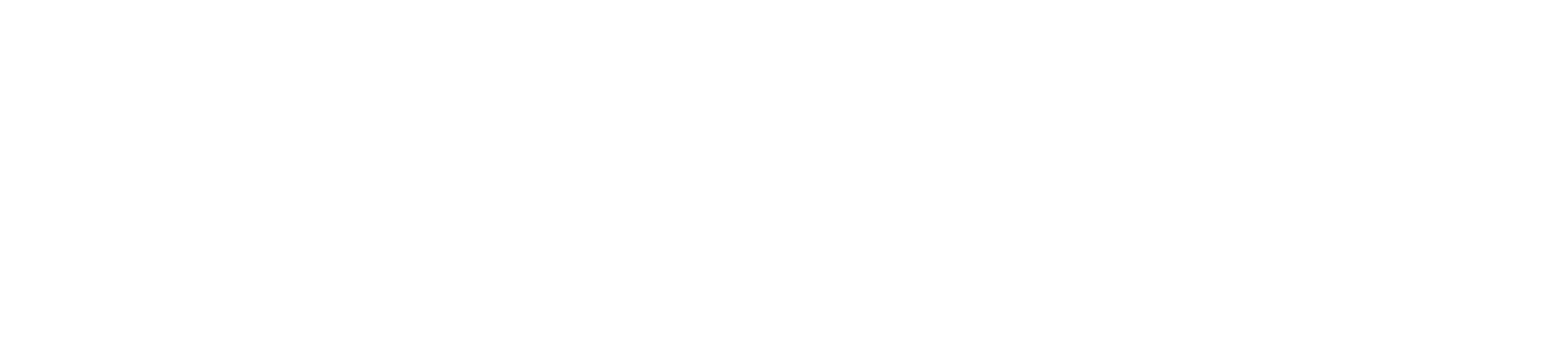 Co-funded by the European Union - Logo