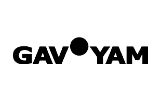 Gav-Yam logo