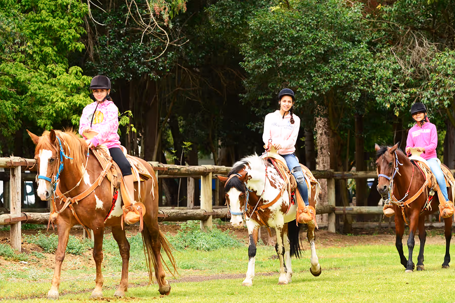 Unique attractions at Camp Santa Ursula: guaranteed fun for everyone