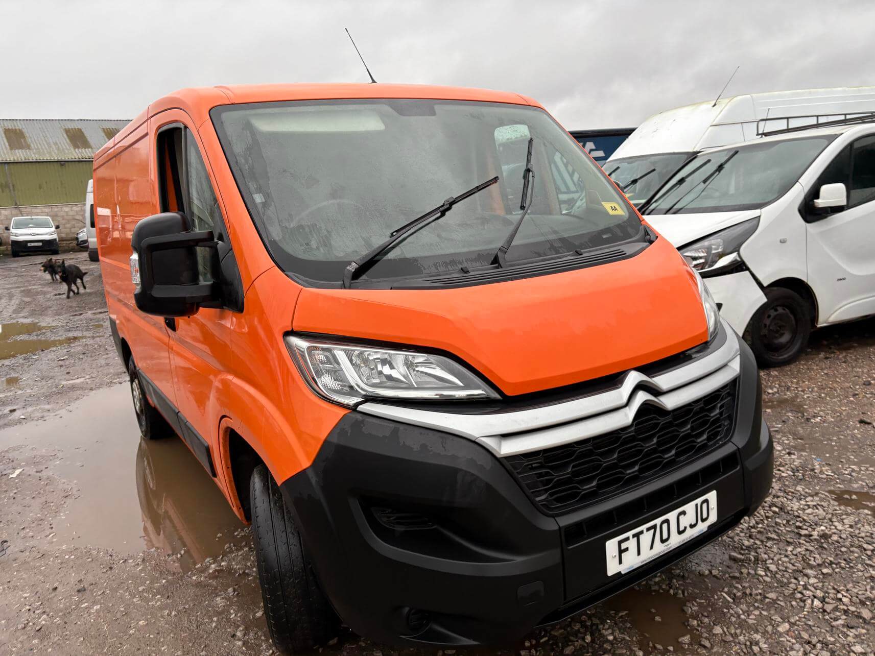 70 Plate Citroen Relay swb Enterprise 2.0 Hdi timing chain repair Euro 6 Vat Inc