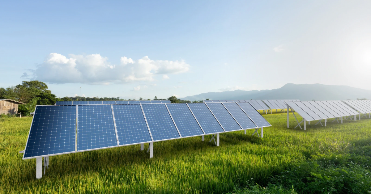 Ground mounted solar panels in a field