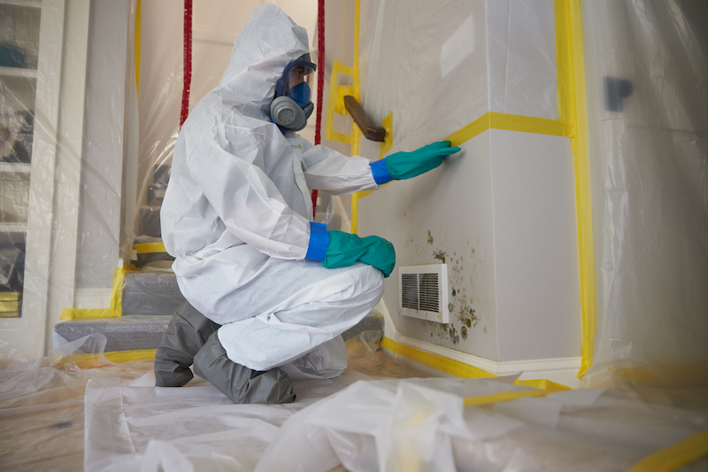 Mold Removal in Edison & Bridgewater | ServiceMaster Restoration