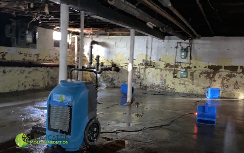 South Hackensack NJ Eradicator Mold Removal - Mold Testing