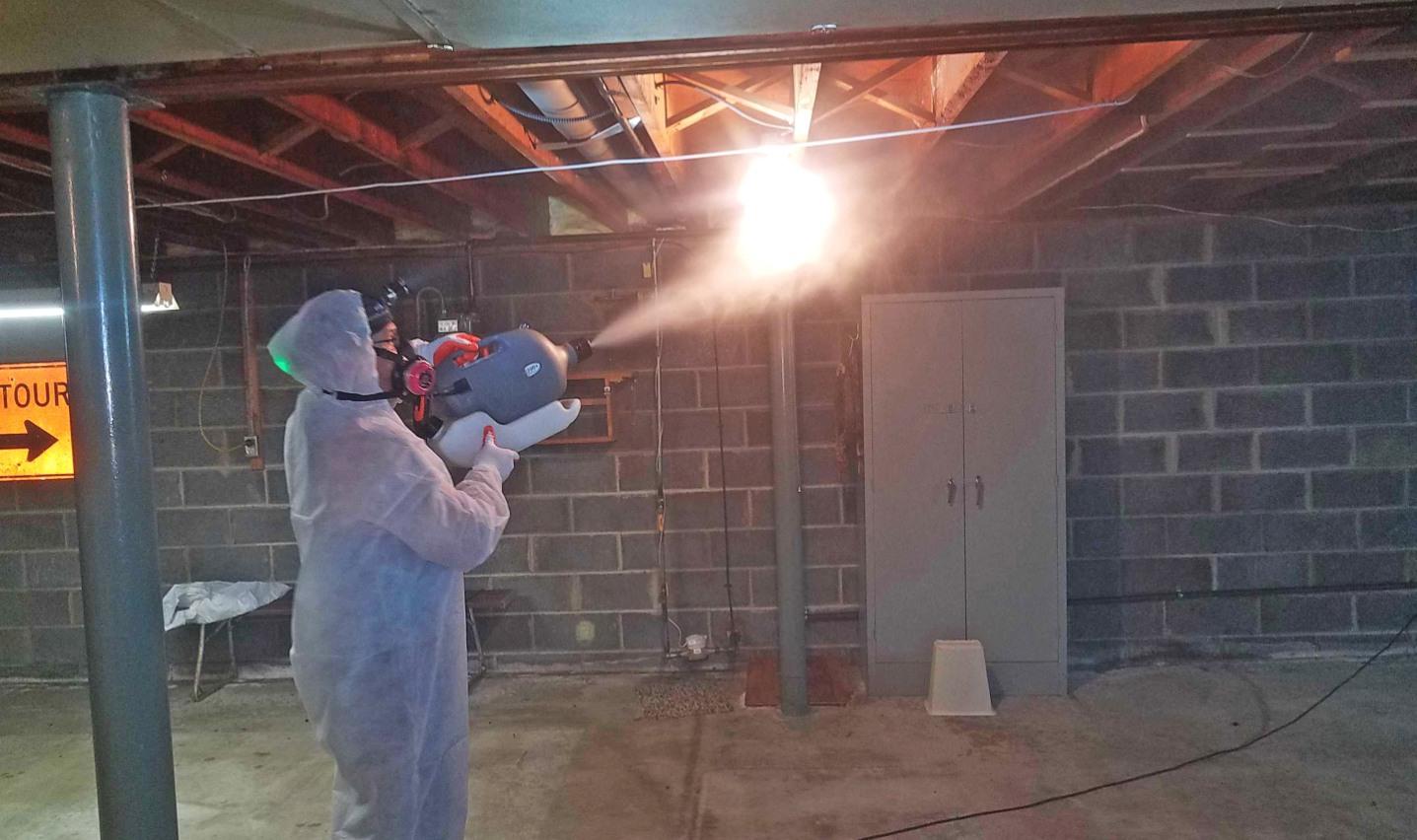 About Mold Solutions by Cowleys Mold Remediation of Toms ...