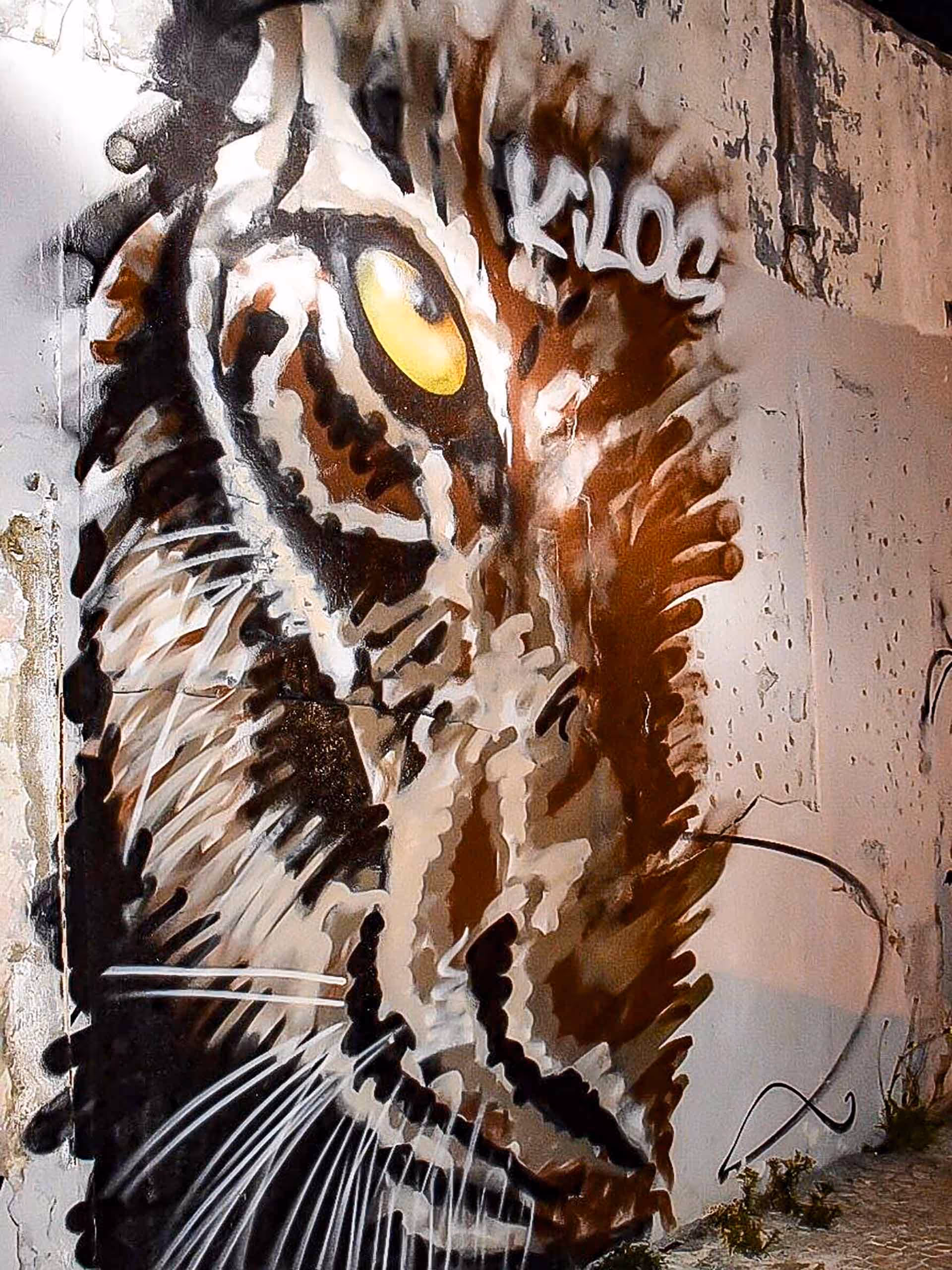 Half tiger's snout painting on a street wall