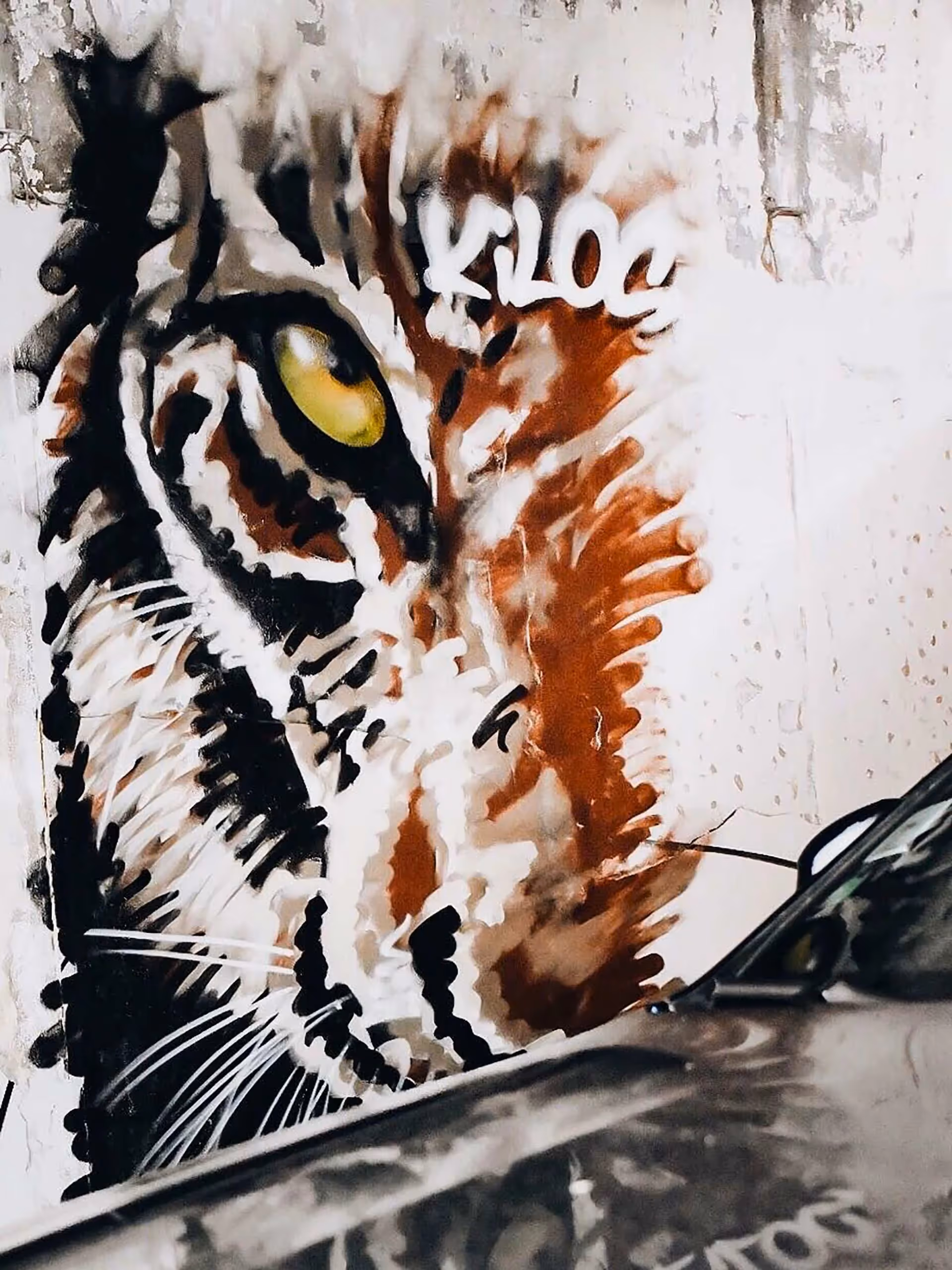 Half tiger's snout painting on a street wall