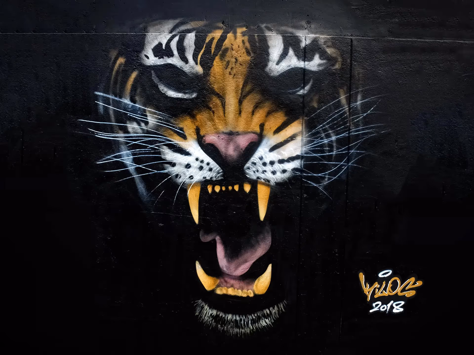 Eyeless tiger's snout painting on a street wall