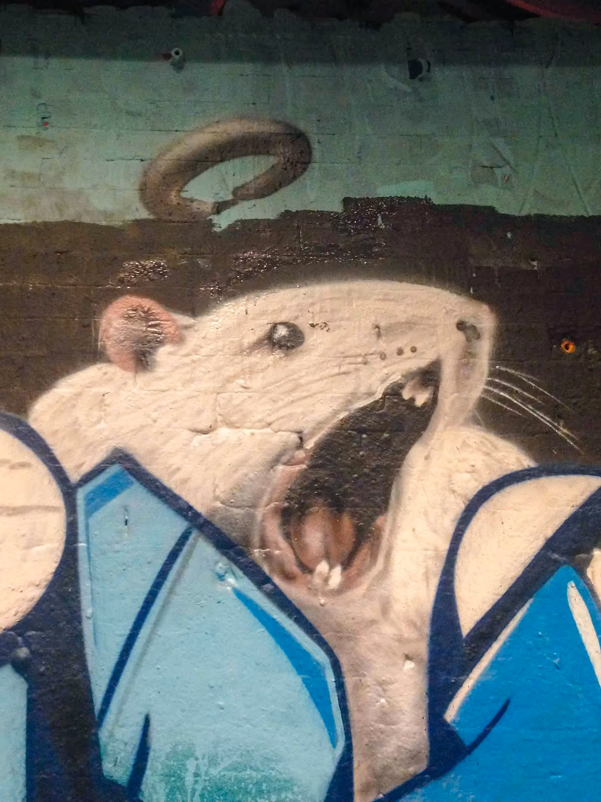 Realistic graffiti painting of a rat