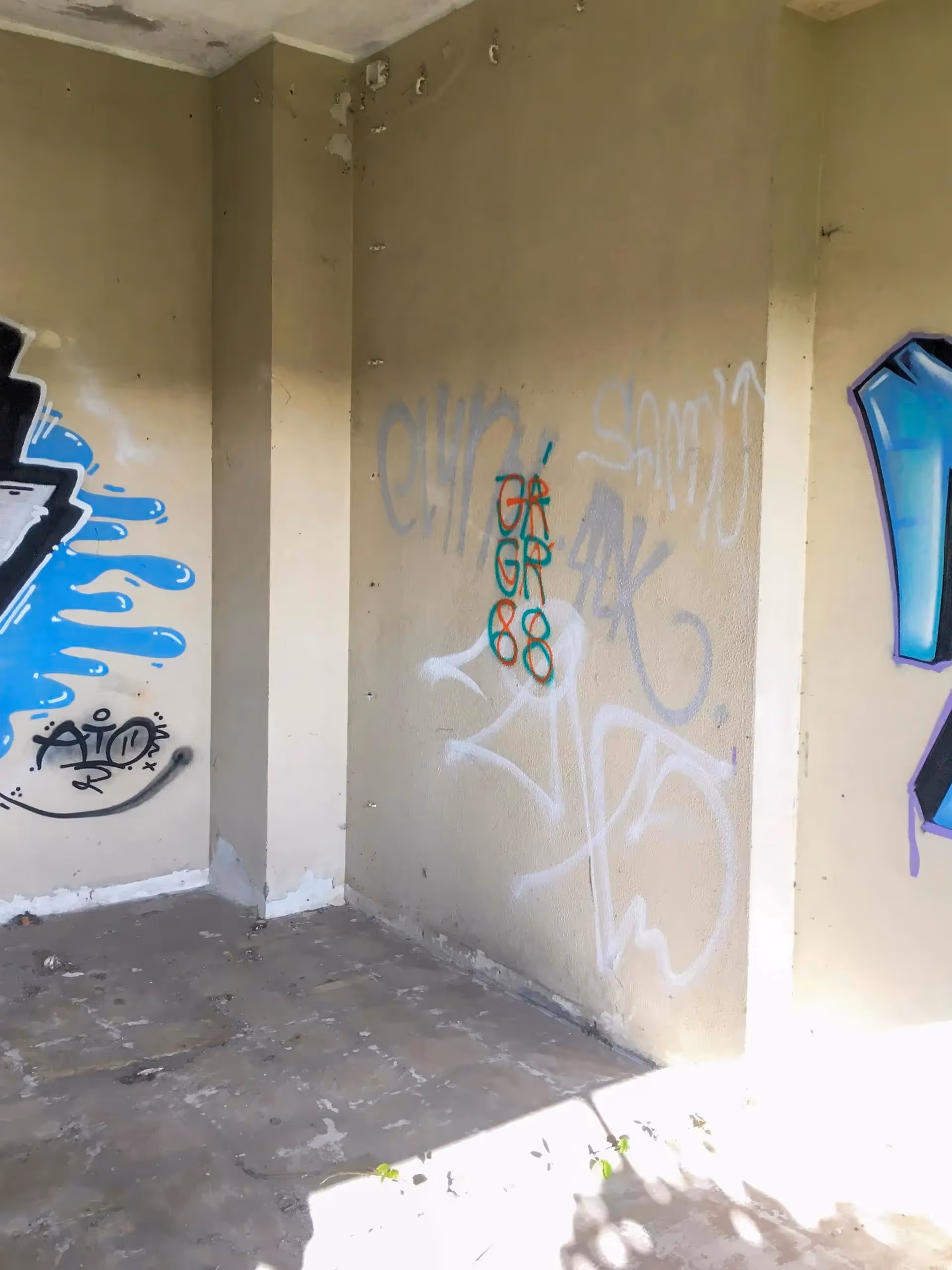 Abandoned building wall with some graffiti tags