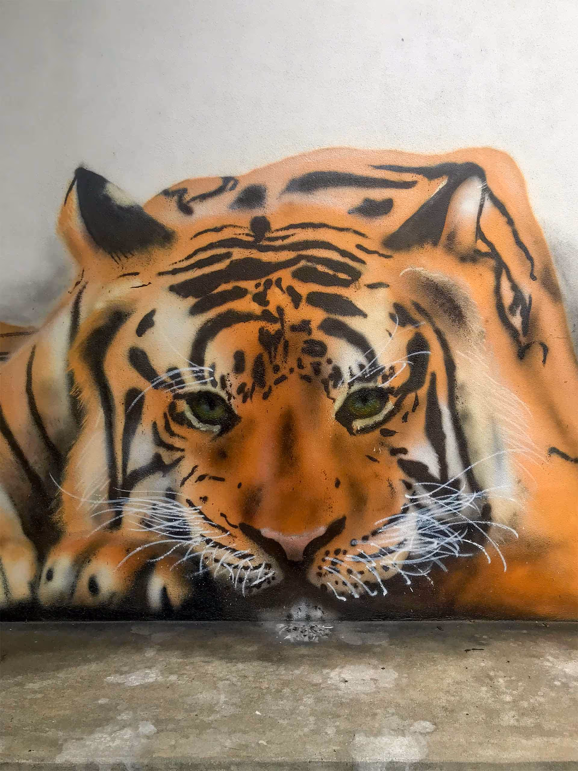 Close-up of a 3D wall painting of a lying tiger