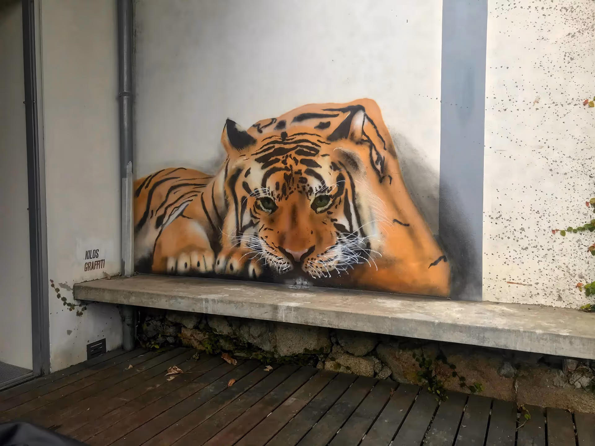3D wall painting of a lying tiger