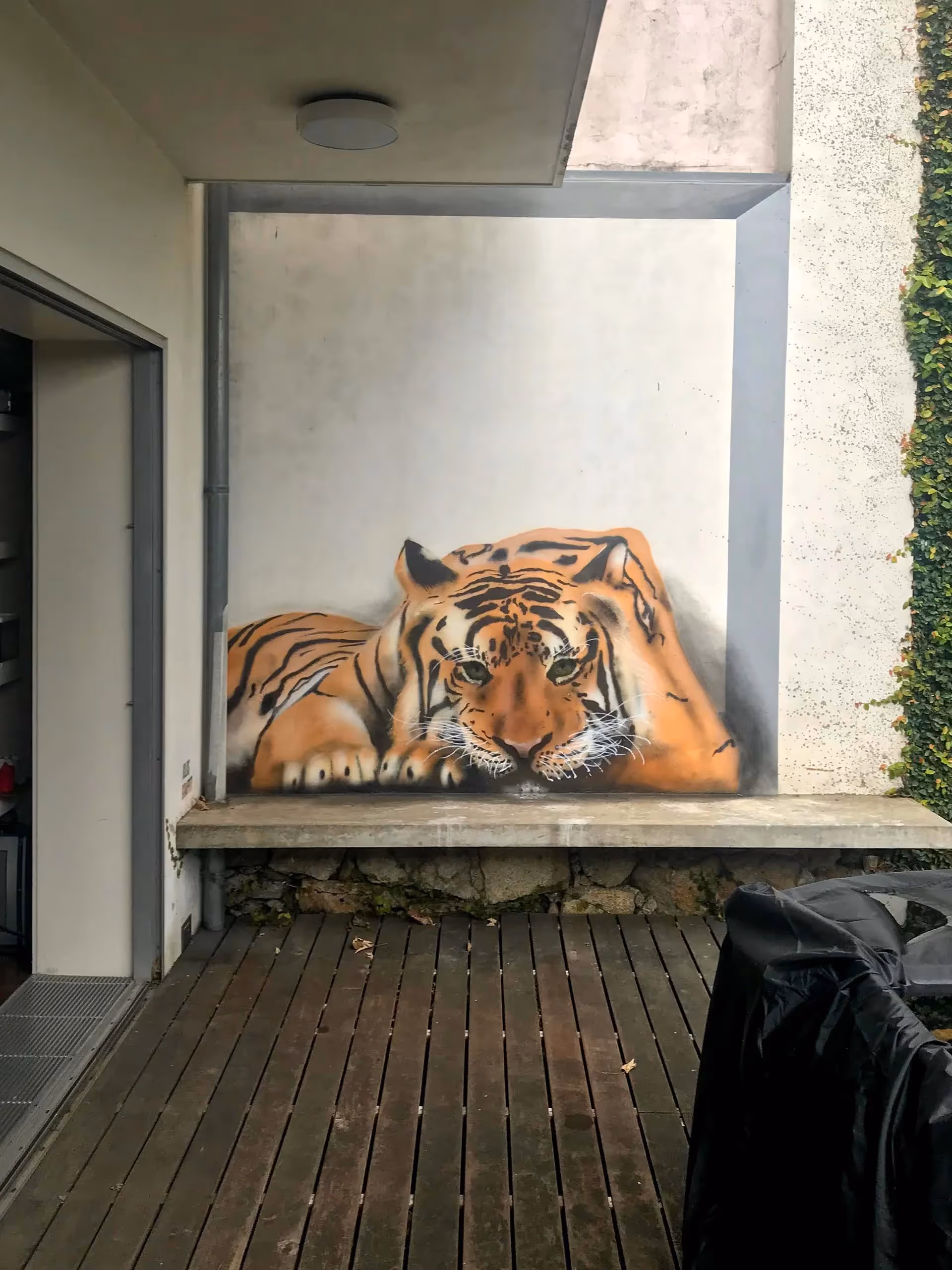 3D wall painting of a lying tiger