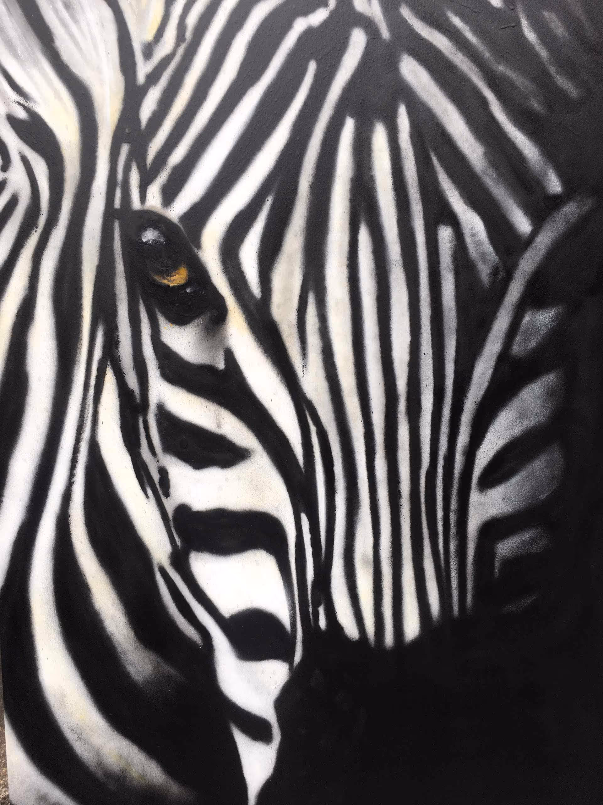 Details of a canvas painting of a zebra's snout