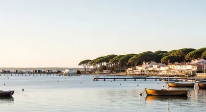 Bordeaux chauffeur to Andernos-les-Bains — Bassin