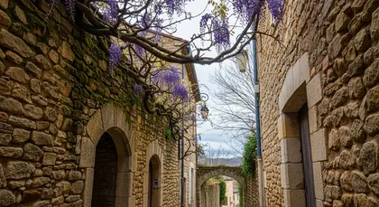 Bordeaux chauffeur to Virsac — Libournais