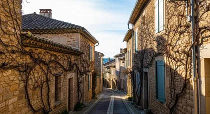 Bordeaux chauffeur to Asques — Libournais