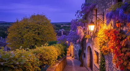 Bordeaux chauffeur to Saint-Germain-de-la-Rivière — Libournais