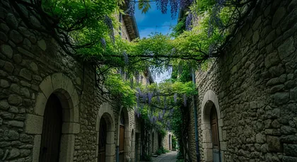 Bordeaux chauffeur to Eynesse — Libournais