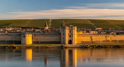 Bordeaux chauffeur to Cadillac — Sauternes & EDM