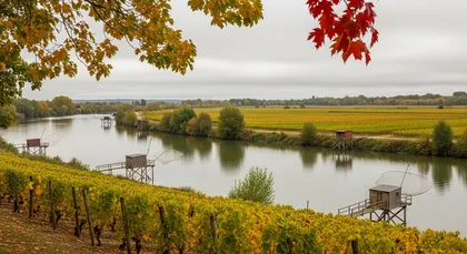 Bordeaux chauffeur to Portets — Sauternes & EDM