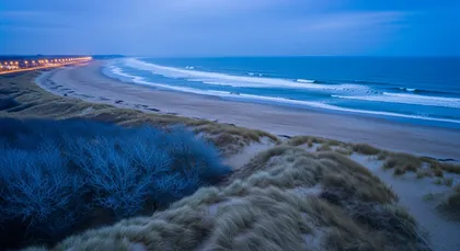 Bordeaux chauffeur to Orthevielle — Landes