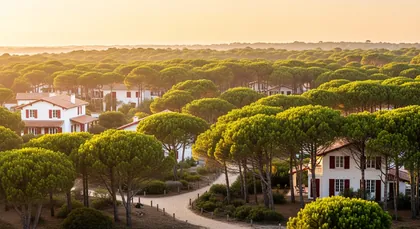 Bordeaux chauffeur to Moliets Plage — Landes