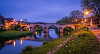 Bordeaux chauffeur to Montendre — Charentes