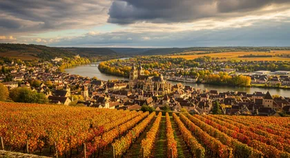 Bordeaux chauffeur to Périgueux — Périgord