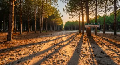 Bordeaux chauffeur to Camping La Palombière — Campsites