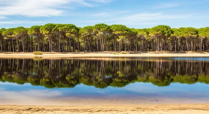 Bordeaux chauffeur to Camping Campéole Navarosse — Campsites