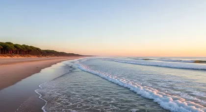 Bordeaux chauffeur to Camping Sunêlia Interlude — Campsites