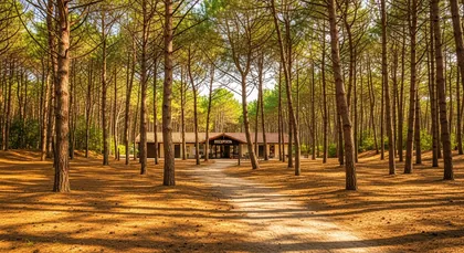 Bordeaux chauffeur to Camping Village Sylvamar Labenne (reception) — Campsites